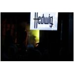 hedwig_nachtleben